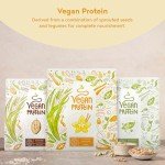 Alpha Foods Vanilla Vegan Protein Powder 1.2kg