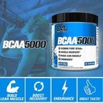 Evlution Nutrition BCAA5000 Powder - Blue Raz Flavor