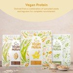 Vegan Vanilla Protein Powder - 22g Protein Per Serving