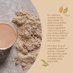 Vegan Chocolate Protein Powder | 600g Premium Blend