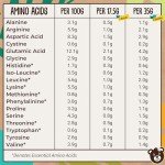 Vegan Protein Super Blend – Unsweetened Plant Formula