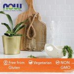 Now Foods L-Glutamine Vegan Powder - 454g