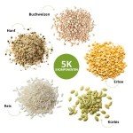 Vegan Vanilla Protein Powder - 1kg Plant-Based Blend