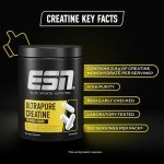 ESN Creatine Giga Caps - 300 Vegan Capsules