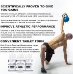Opal Fitness Creatine Monohydrate Tablets - Vegan Energy