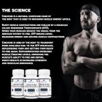 Opal Fitness Creatine Monohydrate Tablets - Vegan Energy
