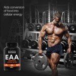 Bandini® EAA Amino Acids - 150 Tablets