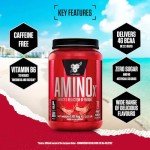 BSN Amino X Fruit Punch – 70 Servings