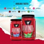 BSN Amino X Fruit Punch – 70 Servings