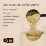 Nuzest Good Green Vitality Superfood Greens Powder
