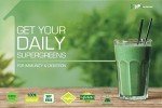 1ne Nutrition Super Greens Powder - Vegan Superfood