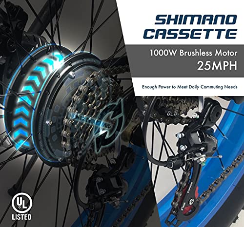 YinZhiBoo Electric Bike: Fat Tire E-Bike, 1000W 48V/13AH