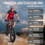LPQVIATAS Peak 3000W Fat Tire Dual Motor Ebike 52V 23Ah Battery,26" x 4" Electric Mountain Bicycle for Adults Men 38MPH Full Lockbale Suspension Ebike 90 Mile Range Hydraulic Disc Brake（US Warehouse