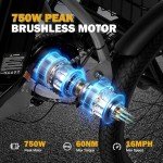 Qlife Triker Electric Bike, Peak 750W Brushless Motor Folding Trike Ebike, 468Wh Removable Battery, Step-Thru 3 Wheel Electric Bicycle, Up to 50 Miles, 20 Tire Tricycle for Adults Grey