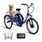 RegalRider Electric Tricycle for Adults, Shimano 7-Speed Electric Trike with 48V 624WH Removable Battery, 70Miles Long Lasting Range in PAS 1, 3 Wheel Electric Bike UL 2272 Certified, 24"