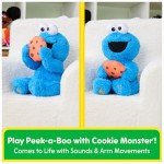 GUND Sesame Street Peek-a-Boo Cookie Monster Toy