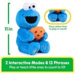 GUND Sesame Street Peek-a-Boo Cookie Monster Toy