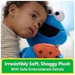 GUND Sesame Street Peek-a-Boo Cookie Monster Toy