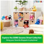 GUND Sesame Street Peek-a-Boo Cookie Monster Toy