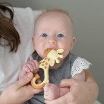 Dr. Brown's Giraffe Baby Teether - BPA Free