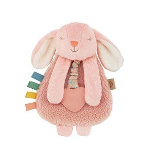 Itzy Ritzy Pink Bunny Lovey and Teether