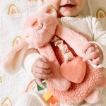 Itzy Ritzy Pink Bunny Lovey and Teether