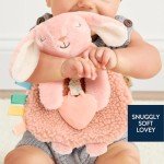 Itzy Ritzy Pink Bunny Lovey and Teether