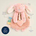 Itzy Ritzy Pink Bunny Lovey and Teether