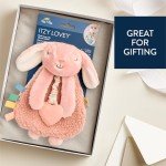 Itzy Ritzy Pink Bunny Lovey and Teether