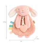 Itzy Ritzy Pink Bunny Lovey and Teether