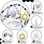 8-in-1 Baby Gym Play Mat with Detachable Toys