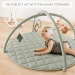 Cute Baby Play Gym and Tummy Time Mat