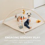 Baby Play Gym and Tummy Time Mat with 5 Toys