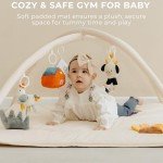 Baby Play Gym and Tummy Time Mat with 5 Toys