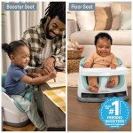 Ingenuity 2-in-1 Baby Booster Floor Seat - Mist