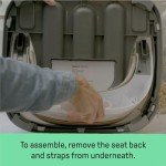 Ingenuity 2-in-1 Baby Booster Floor Seat - Mist