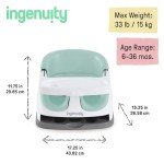 Ingenuity 2-in-1 Baby Booster Floor Seat - Mist