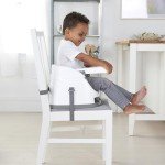 Ingenuity 2-in-1 Baby Booster Floor Seat - Mist