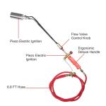 Dancing Cactus Toy Plays 120 Songs & Talks