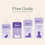 Lansinoh Baby Bottles with Slow Flow Nipples