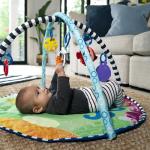 Baby Einstein Water Mat Play Gym