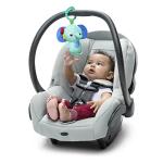 Wild Wiggles Baby Activity Gym and Play Mat