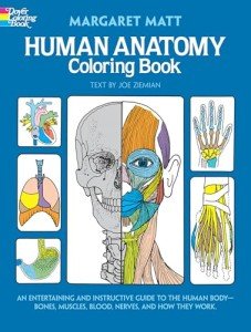 Human Anatomy Coloring Book: an Entertaining and Instructive Guide to the Human Body - Bones, Muscles, Blood, Nerves and How They Work (Coloring Books) (Dover Science For Kids Coloring Books)