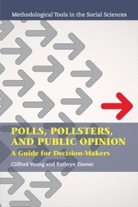 Polls, Pollsters, and Public Opinion (Methodological Tools in the Social Sciences)