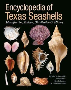 Encyclopedia of Texas Seashells: Identification, Ecology, Distribution, and History (Harte Research Institute for Gulf of Mexico Studies Series, ... Studies, Texas A&M University-Corpus Christi)