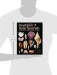 Encyclopedia of Texas Seashells: Identification, Ecology, Distribution, and History (Harte Research Institute for Gulf of Mexico Studies Series, ... Studies, Texas A&M University-Corpus Christi)