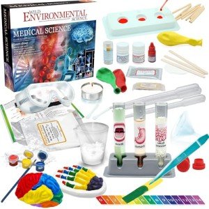 WILD ENVIRONMENTAL SCIENCE Medical Science - STEM Kit for Ages 8+ - Make a Test-Tube Digestive System, Extract DNA, Create Anatomical Models and More!, Multi (WES120XL)
