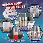 WILD ENVIRONMENTAL SCIENCE Medical Science - STEM Kit for Ages 8+ - Make a Test-Tube Digestive System, Extract DNA, Create Anatomical Models and More!, Multi (WES120XL)