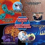 WILD ENVIRONMENTAL SCIENCE Medical Science - STEM Kit for Ages 8+ - Make a Test-Tube Digestive System, Extract DNA, Create Anatomical Models and More!, Multi (WES120XL)