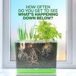 Root Viewer Kit for Kids - Easter Gifts - Grow Your Own Plant for Boys & Girls - Science STEM Toy & Craft Growing Kits for Ages 4-8 Birthday Gifts for Boy, Girl 4, 5, 6, 7, 8, Year Old - Gardening Toy